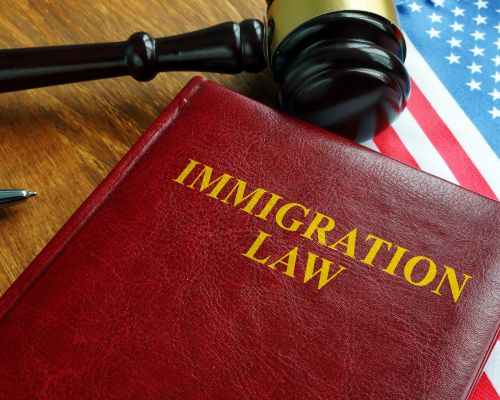 Tipos-de-Deportaciones-en-usa