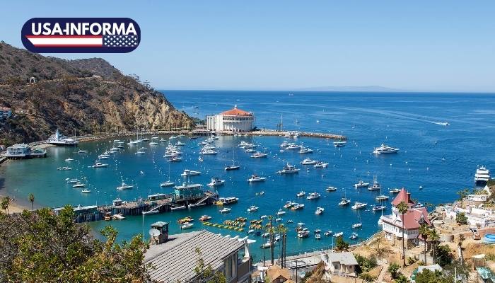 Visita-Isla-Catalina-California-hermoso-lugar-turístico-que-debes-conocer-en-los-estados-unidos