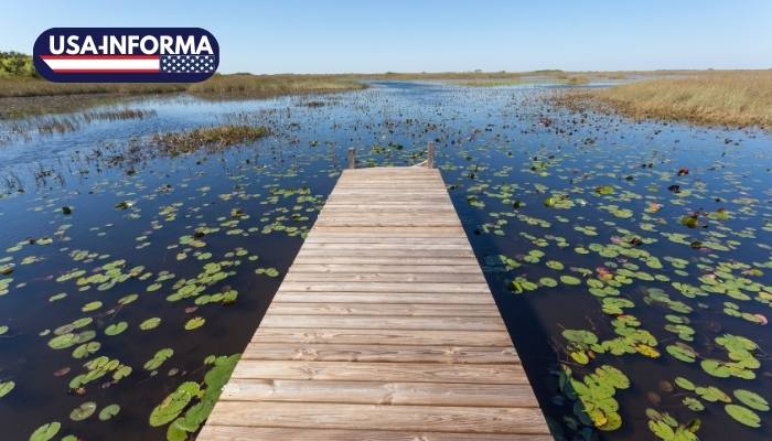 Visita-Parque-Nacional-de-los-Everglades-Florida-hermoso-lugar-turístico-que-debes-conocer-en-los-estados-unidos