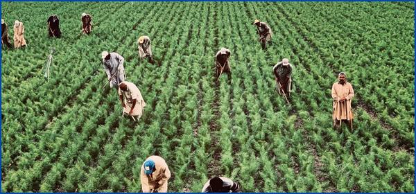 que-es-la-ley-sb-17-18