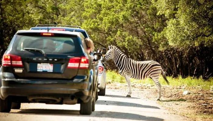 san-antonio-texas-lugares-turisticos
