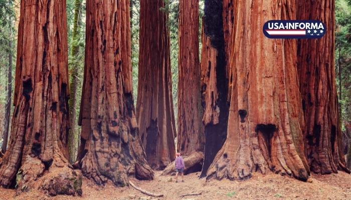 turismo-estados-unidos-conocer